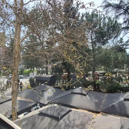 Kevin's 101 - Tirane, Albania 티라나
