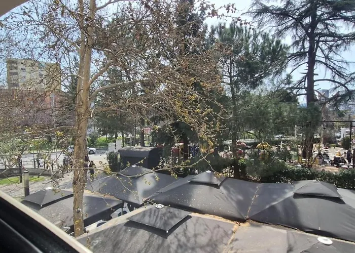 Kevin's 101 - Tirane, Albania 地拉那